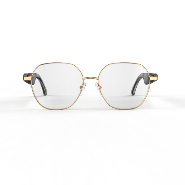 AI glasses