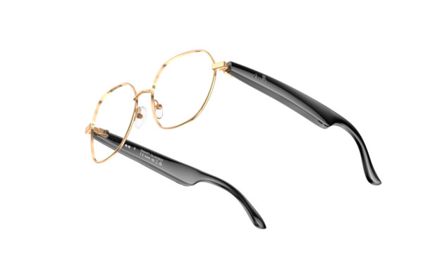 AI glasses